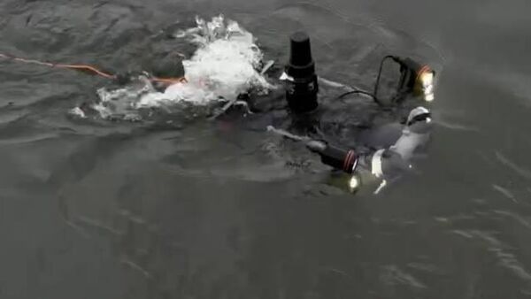 Подводный дрон - Sputnik Беларусь