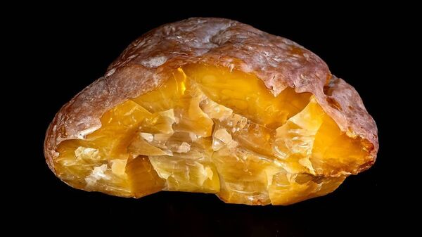 Янтарь Рекордсмен - Sputnik Беларусь