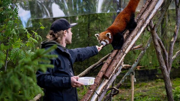 Зоопарк Эхтяри - Sputnik Беларусь