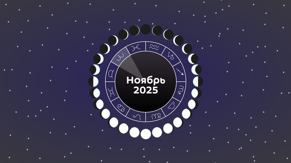 Лунный календарь садовода и огородника на ноябрь 2025 - Sputnik Беларусь