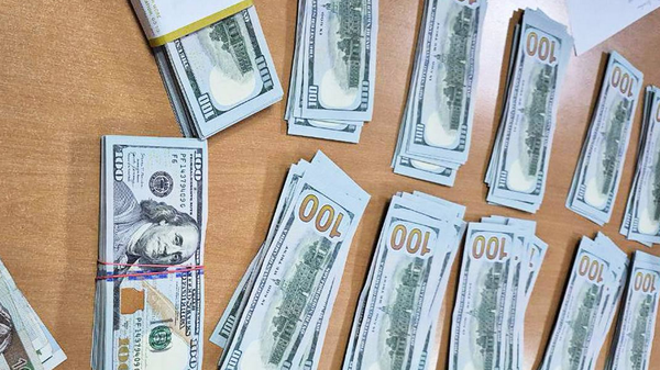 Гражданин Украины пытался незаконно ввезти в Беларусь 66 тысяч долларов - Sputnik Беларусь