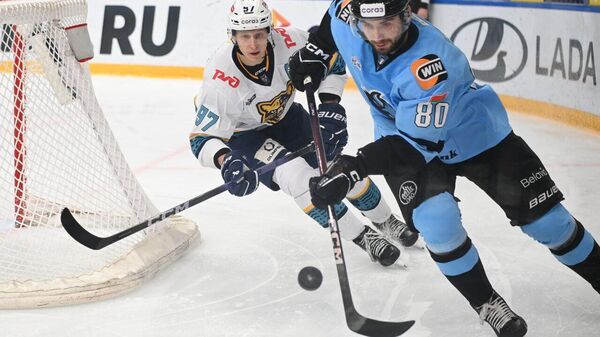 Игровой момент матча Динамо - Сочи - Sputnik Беларусь