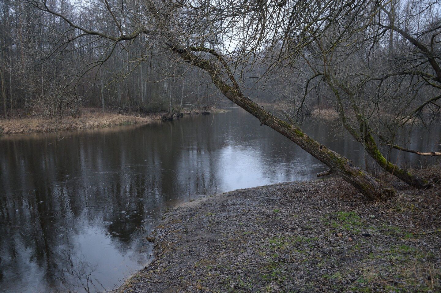 Река Птичь рядом с местом, где находилось детское гетто - Sputnik Беларусь