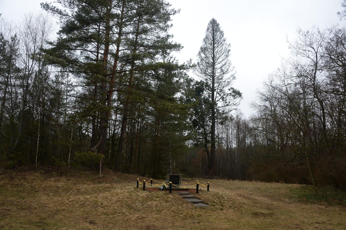 На заросших руинах бывшего санатория Крынки установлен памятник, рассказывающий об узниках детского гетто - Sputnik Беларусь