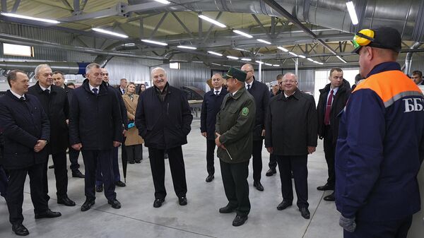 Президент Беларуси Александр Лукашенко в ходе поездки в Березинский биосферный заповедник - Sputnik Беларусь