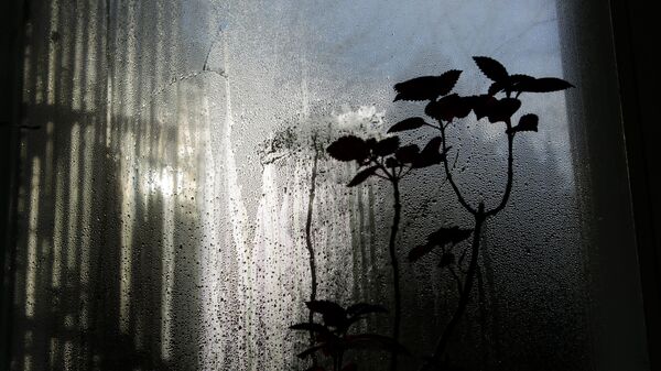 Конденсат на окне - Sputnik Беларусь