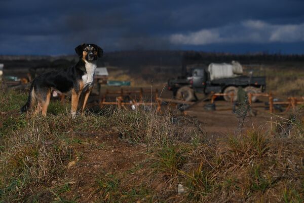   - Sputnik Беларусь