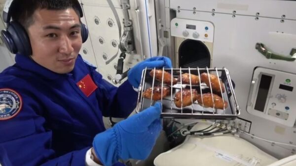 Китайские космонавты впервые приготовили барбекю в космосе - Sputnik Беларусь