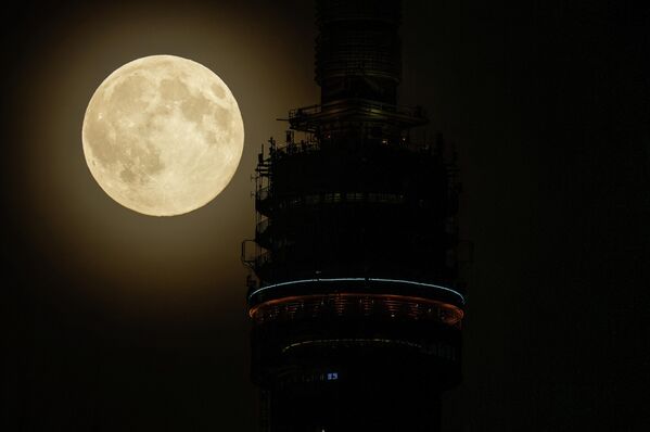 Бобровая Луна над фоне Останкинской телебашни в Москве