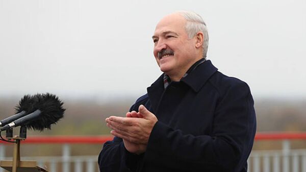 Президент Беларуси Александр Лукашенко, архивное фото  - Sputnik Беларусь