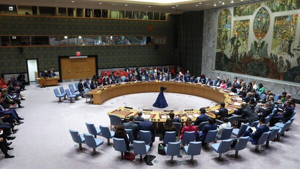 Заседание Совбеза ООН, архивное фото - Sputnik Беларусь