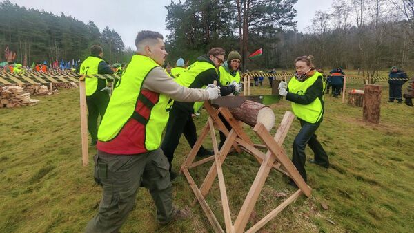 Генералы на разогреве: на Вяче прошел чемпионат по колке дров (видео) - Sputnik Беларусь