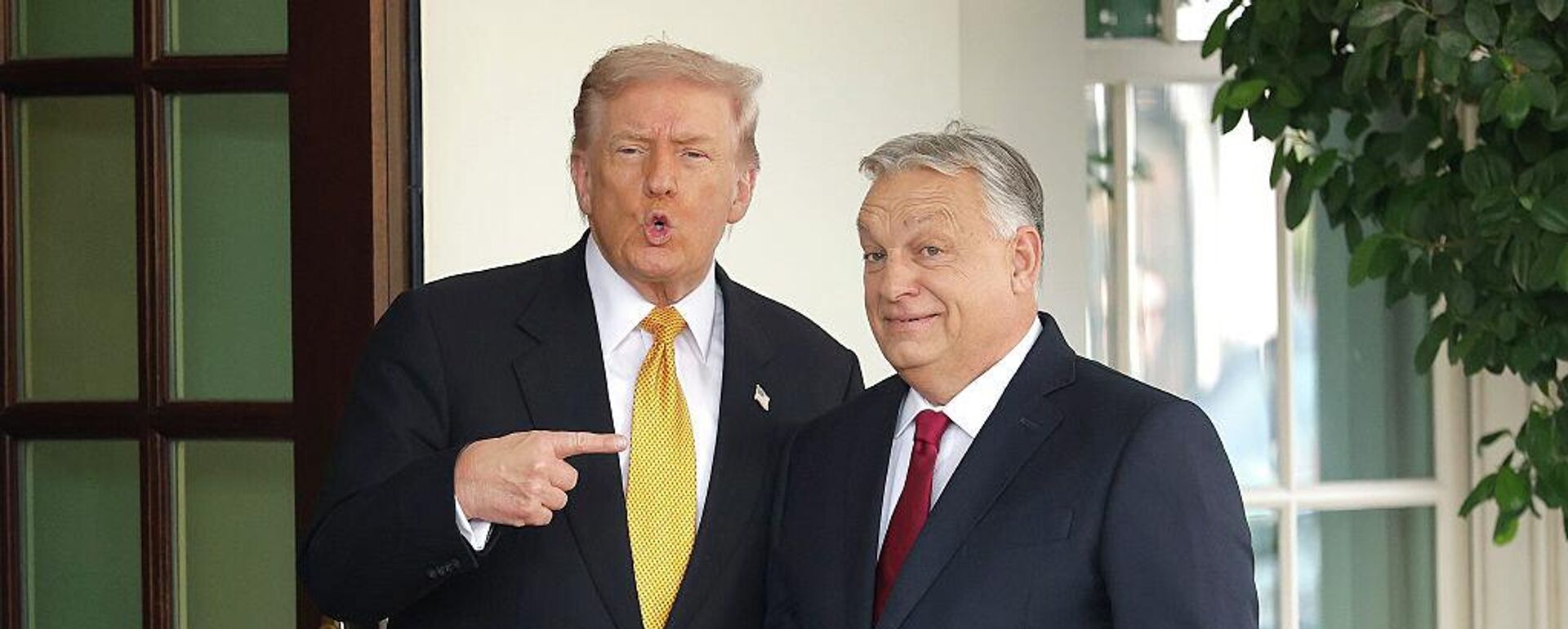 Дональд Трамп и Виктор Орбан