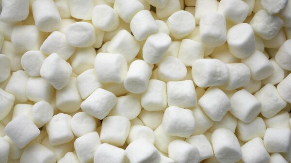 Маршмеллоу  - Sputnik Беларусь