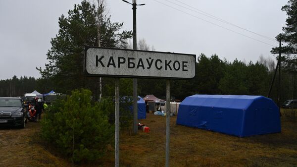 Водолазы, Алмаз и дроны: как ищут подростка в Березинском районе (видео) - Sputnik Беларусь