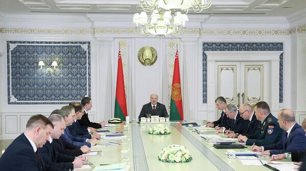 Нарада ў прэзідэнта па пытаннях развіцця атамнай энергетыкі - Sputnik Беларусь