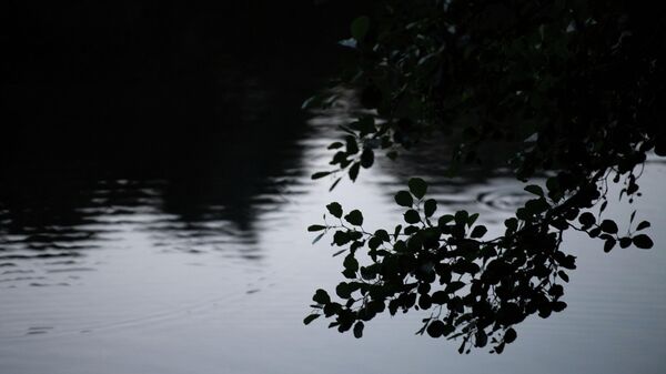 Темная вода, архивное фото - Sputnik Беларусь