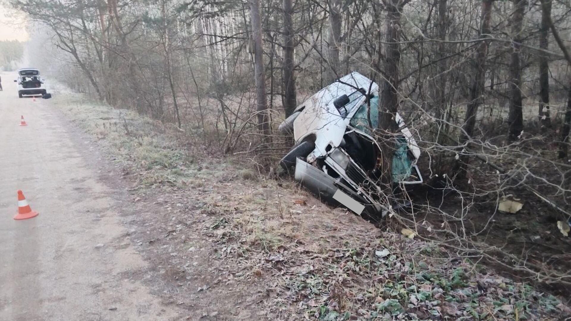 Косуля спровоцировала ДТП в Кореличском районе Косуля спровоцировала ДТП в Кореличском районе