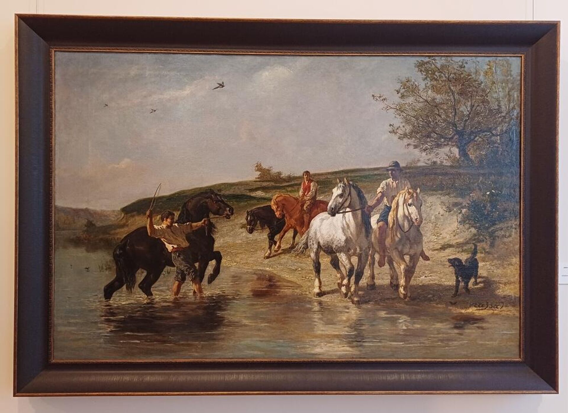 Жюль Жак Вейрасса Купание лошадей - Sputnik Беларусь, 1920, 19.11.2025