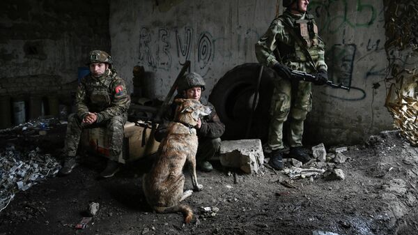 Собаки помогают выявлять дроны на позициях — боец - Sputnik Беларусь