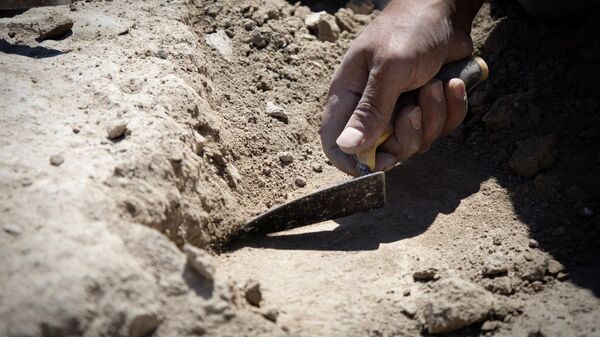 Инструмент археолога, архивное фото - Sputnik Беларусь