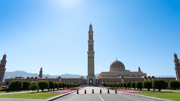 Лукашэнка падпісаў закон аб бязвізе з Аманам - Sputnik Беларусь