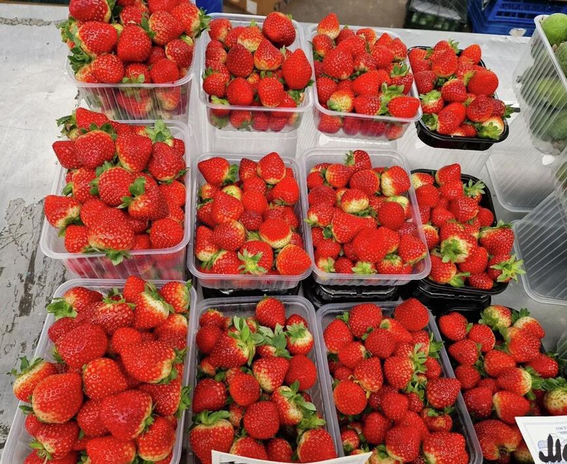 Клубника в ноябре Клубника в ноябре - Sputnik Беларусь, 1920, 20.11.2025