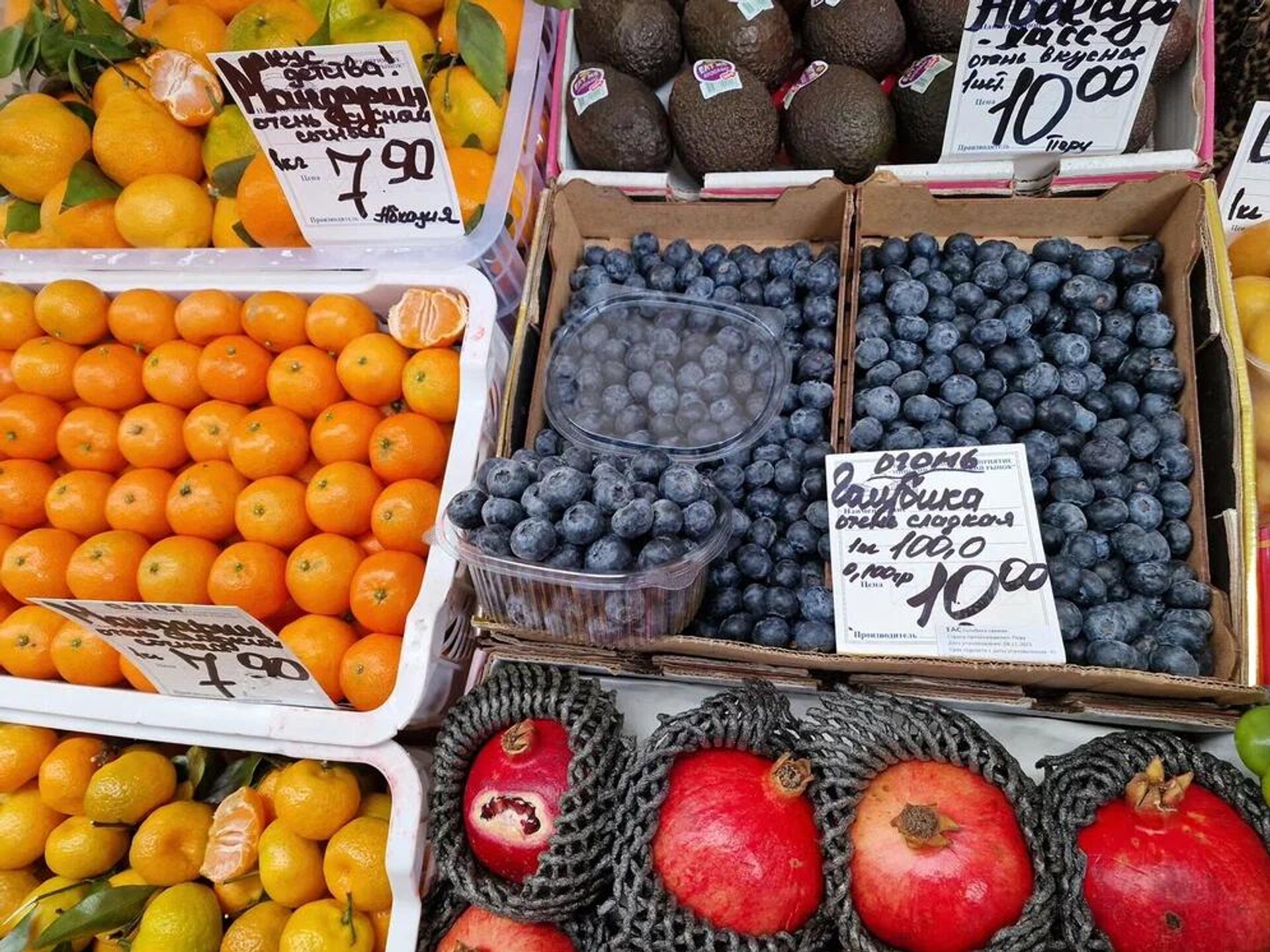 Перуанская голубика Перуанская голубика - Sputnik Беларусь, 1920, 20.11.2025