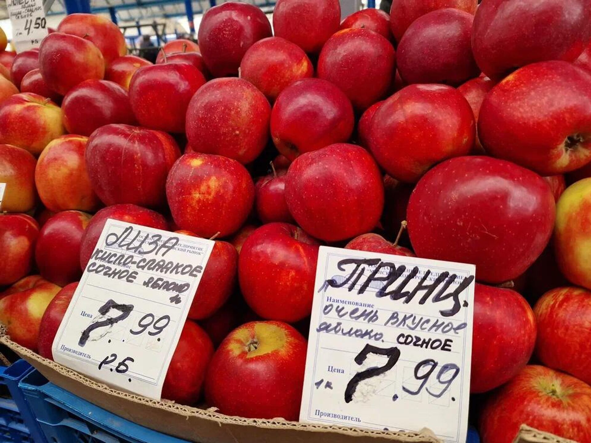 Яблоки Яблоки - Sputnik Беларусь, 1920, 20.11.2025