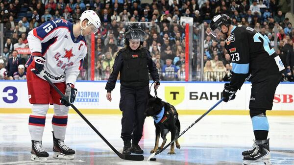 Матч между минским Динамо и ЦСКА - Sputnik Беларусь