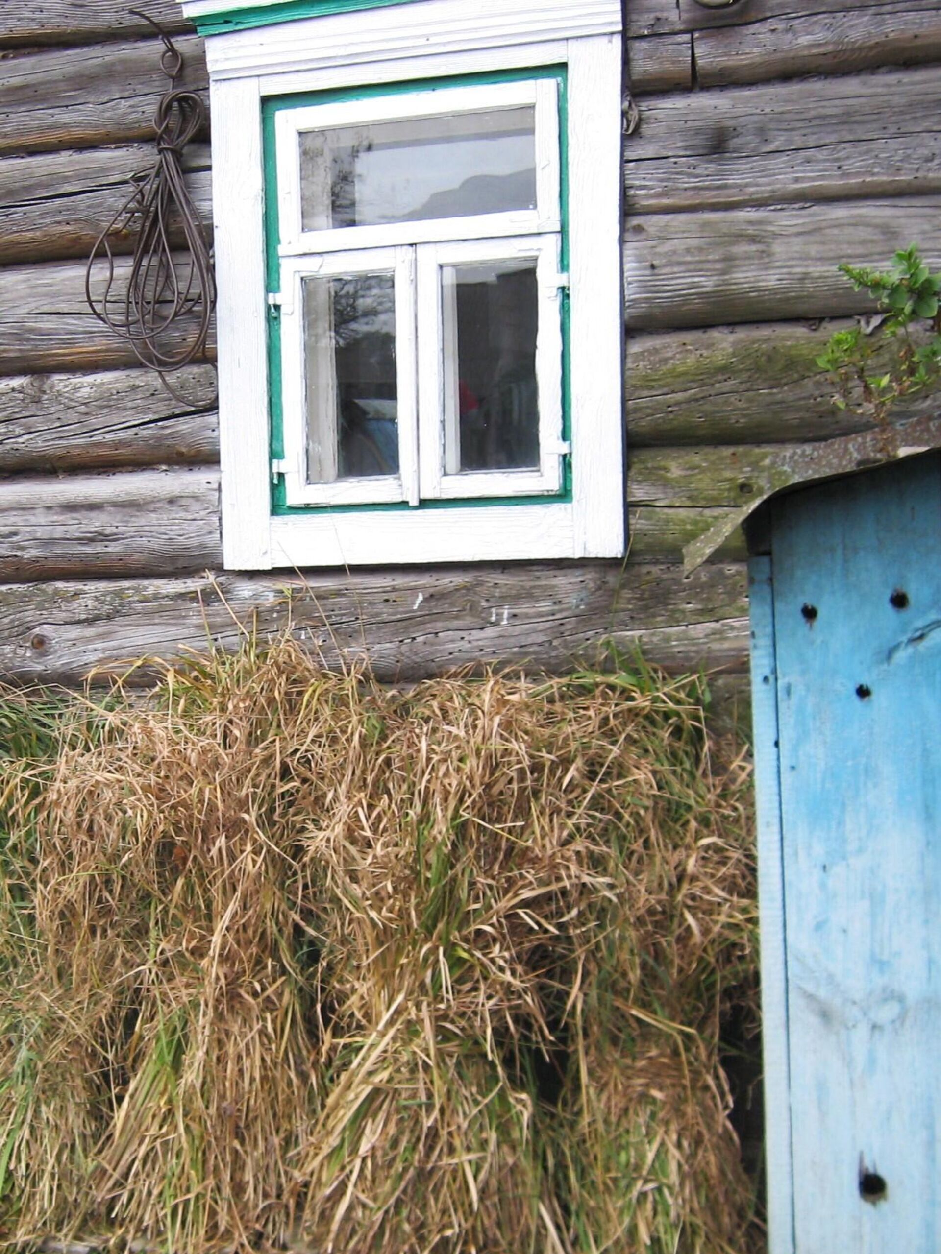 Уцяпленне хаты пукамі травы, з якой ткалі мату - Sputnik Беларусь, 1920, 21.11.2025