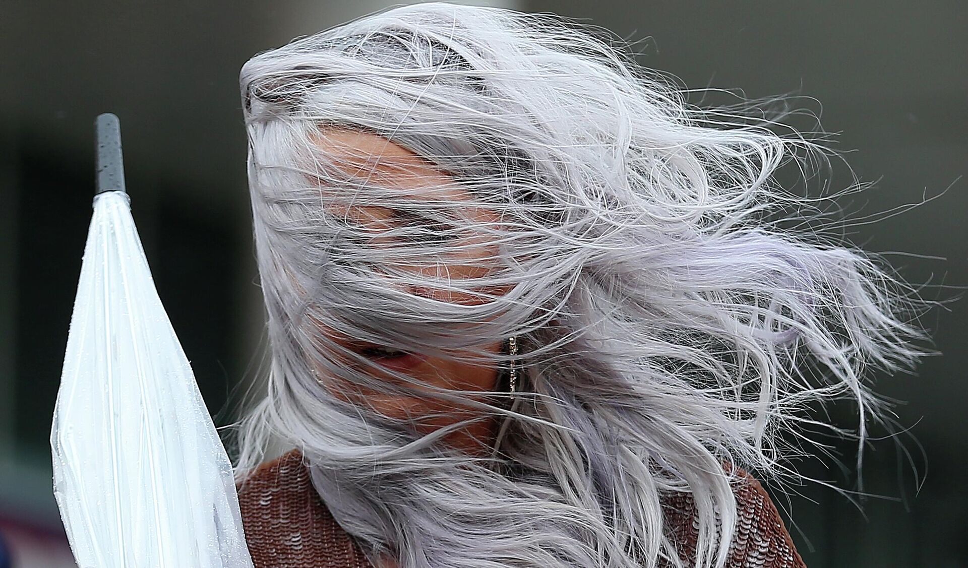 Седина Седина - Sputnik Беларусь, 1920, 23.11.2025