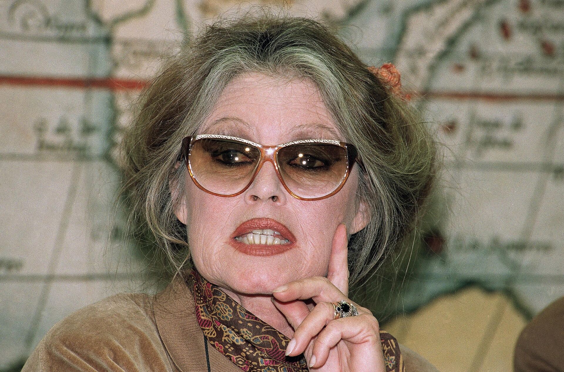 Актриса Брижит Бардо