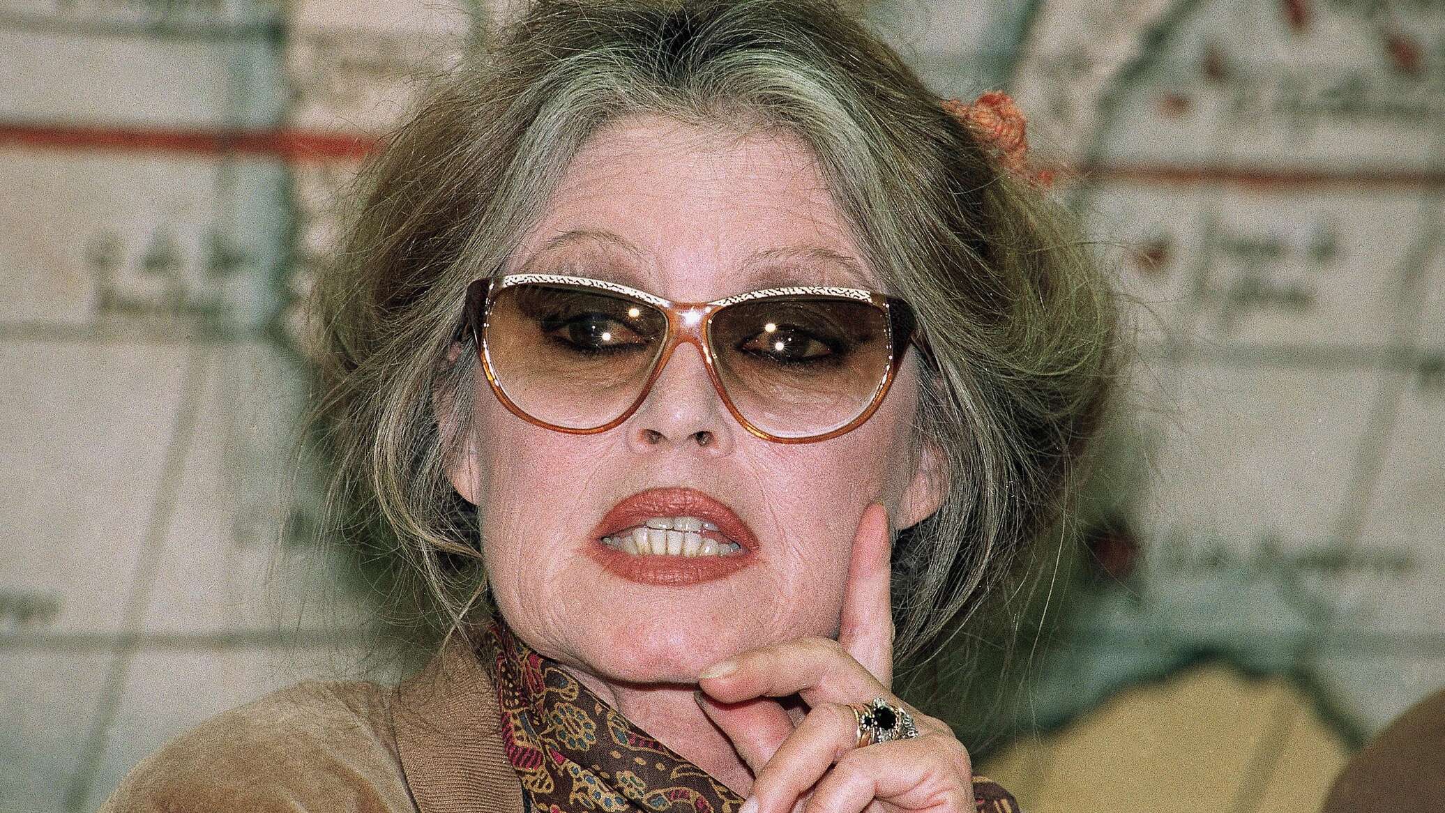 Брижит Бардо снова попала в больницу