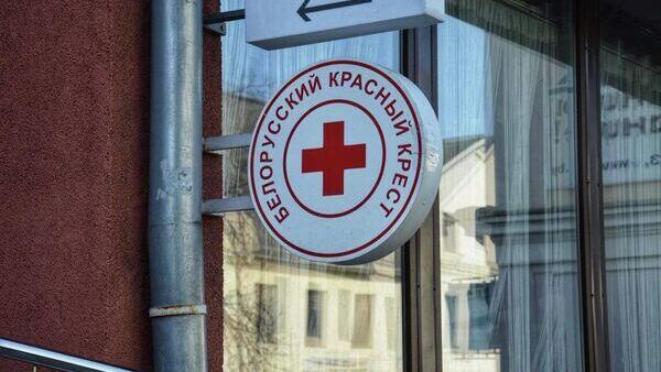 Міжнародная валанцёрская праграма Місія дабро вяртаецца ў Беларусь - Sputnik Беларусь