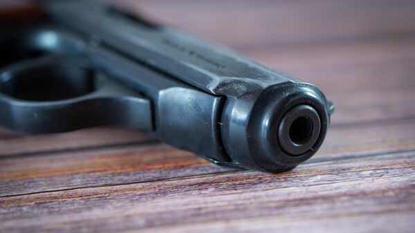 Пистолет - Sputnik Беларусь