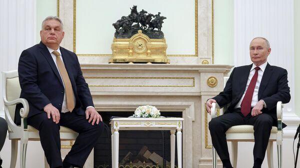 Прэзідэнт Уладзімір Пуцін правёў сустрэчу з прэм'ер-міністрам Венгрыі Віктарам Орбанам - Sputnik Беларусь