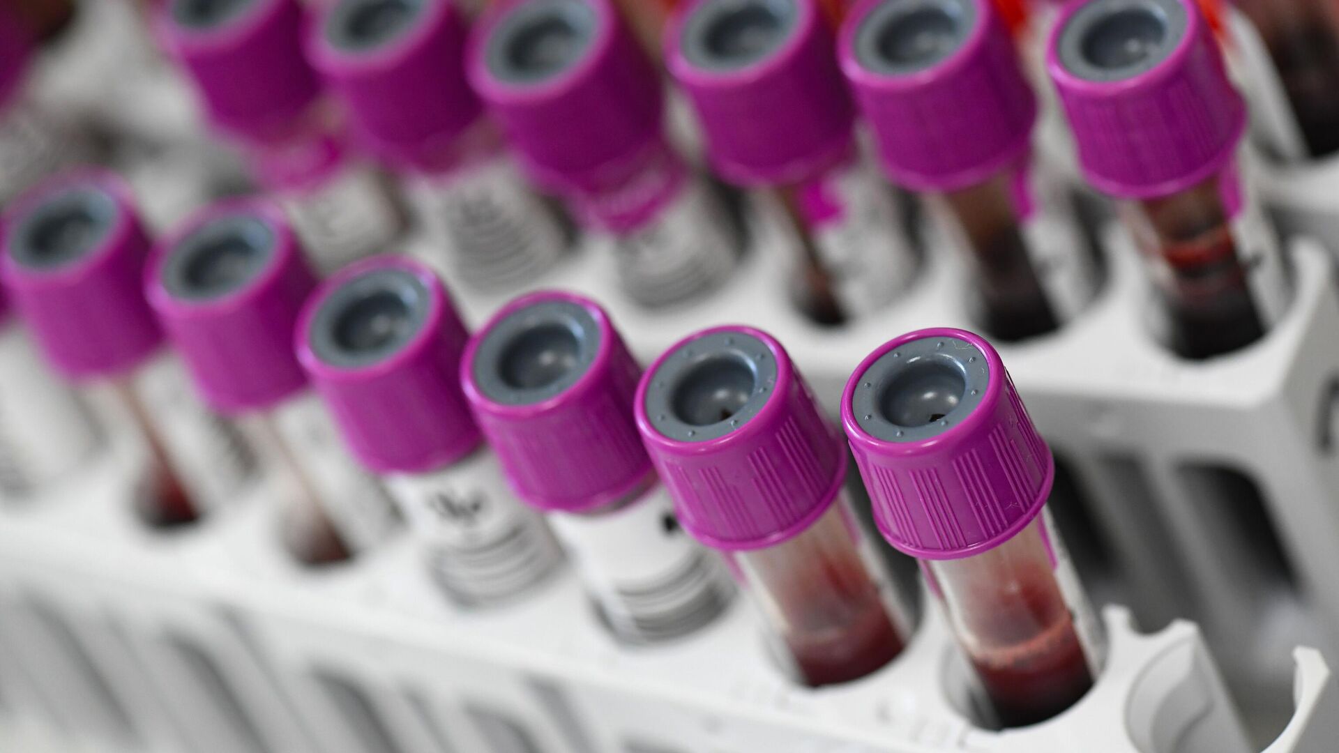 Информация о группе крови будет вноситься в белорусские паспорта и ВНЖ