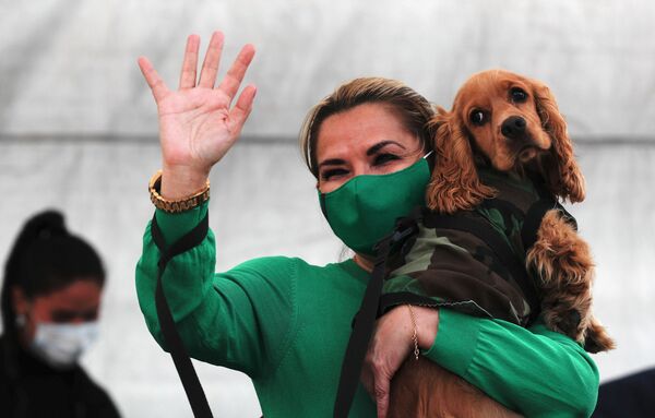 В сентябре 2020 года, открывая приют для брошенных животных во время пандемии коронавируса, временно исполняющая обязанности президента Боливии Жанин Анес приветствовала жителей Ла-Паса вместе со своей собакой на руках.