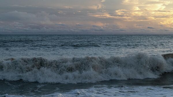 Узбярэжжа Чорнага мора - Sputnik Беларусь