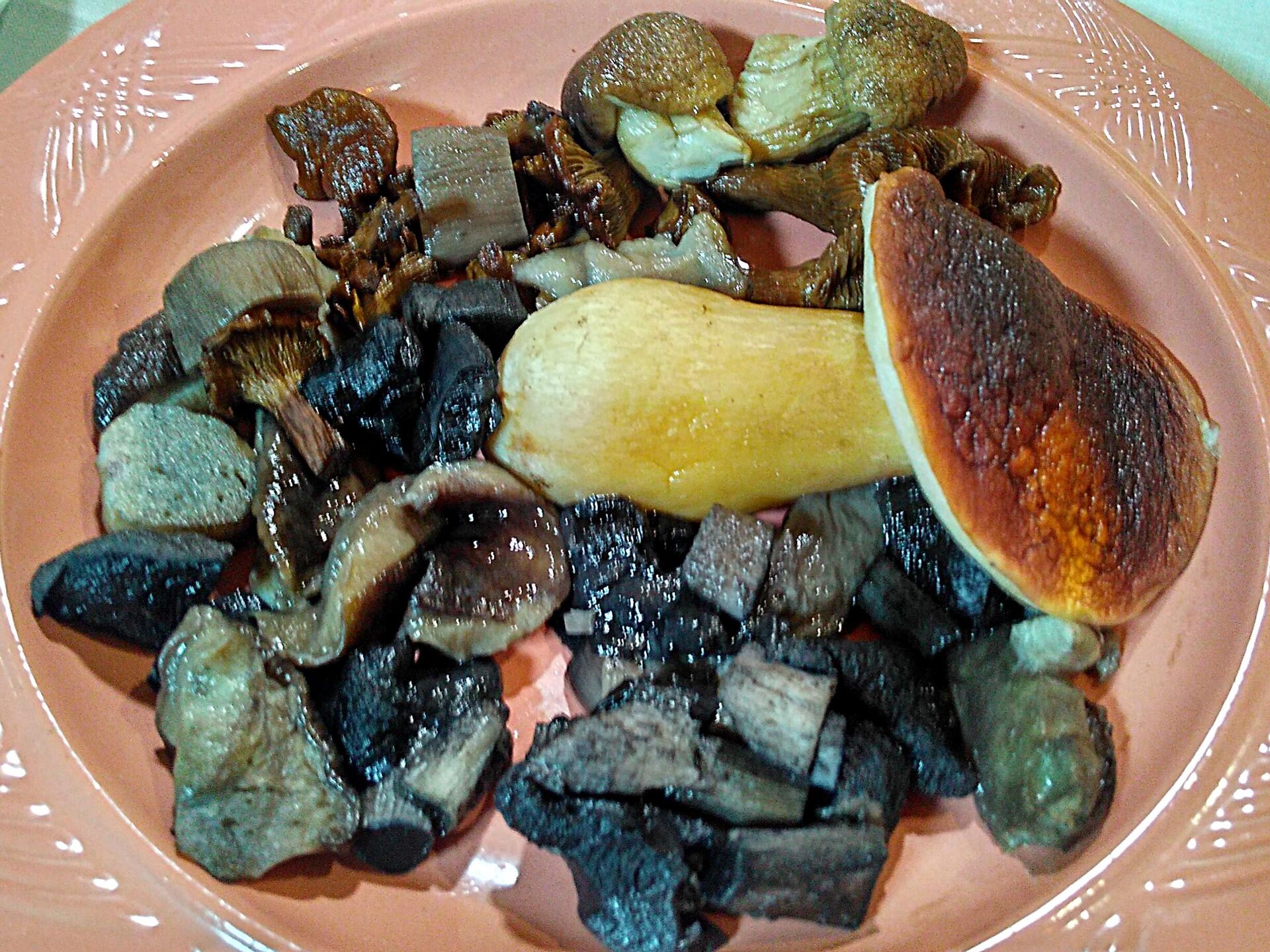 Грыбы для стравы Грыбы для стравы - Sputnik Беларусь, 1920, 03.12.2025