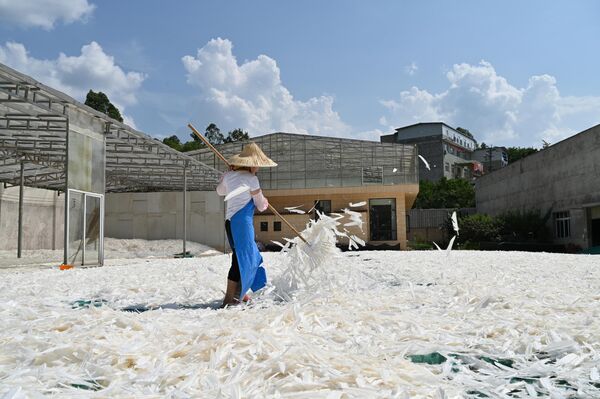 Гусиные перья для компании Chengdu Chengyu Sports Goods, производящей воланы для бадминтона