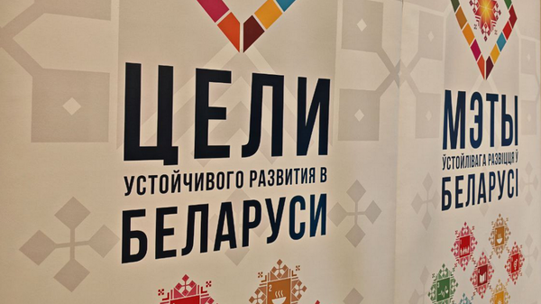 Пасяджэнне Савета па ўстойлівым развіцці - Sputnik Беларусь