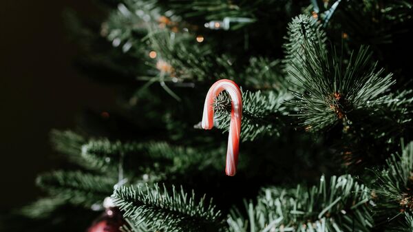 Елка - Sputnik Беларусь