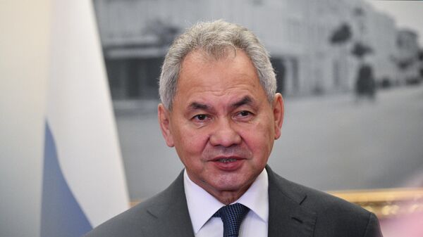 Сакратар Савета бяспекі РФ Сяргей Шайгу - Sputnik Беларусь