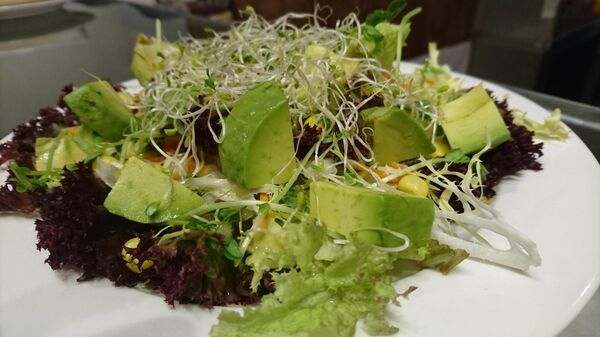 Зеленый салат с авокадо Зеленый салат с авокадо - Sputnik Беларусь