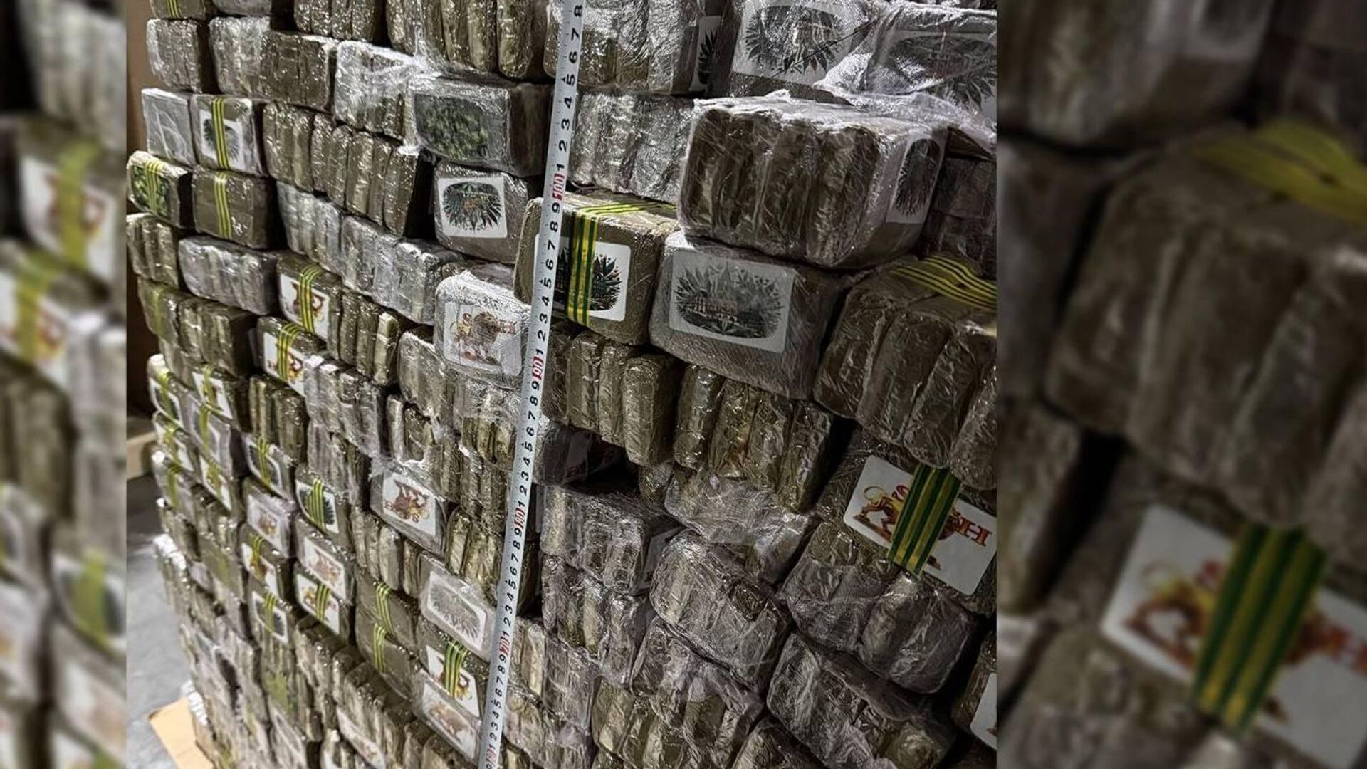 Задержание крупной партии наркотиков в Беларуси - Sputnik Беларусь, 1920, 12.12.2025