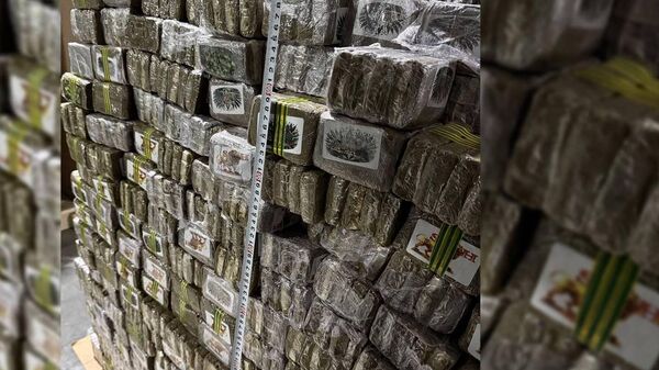 Задержание крупной партии наркотиков в Беларуси - Sputnik Беларусь