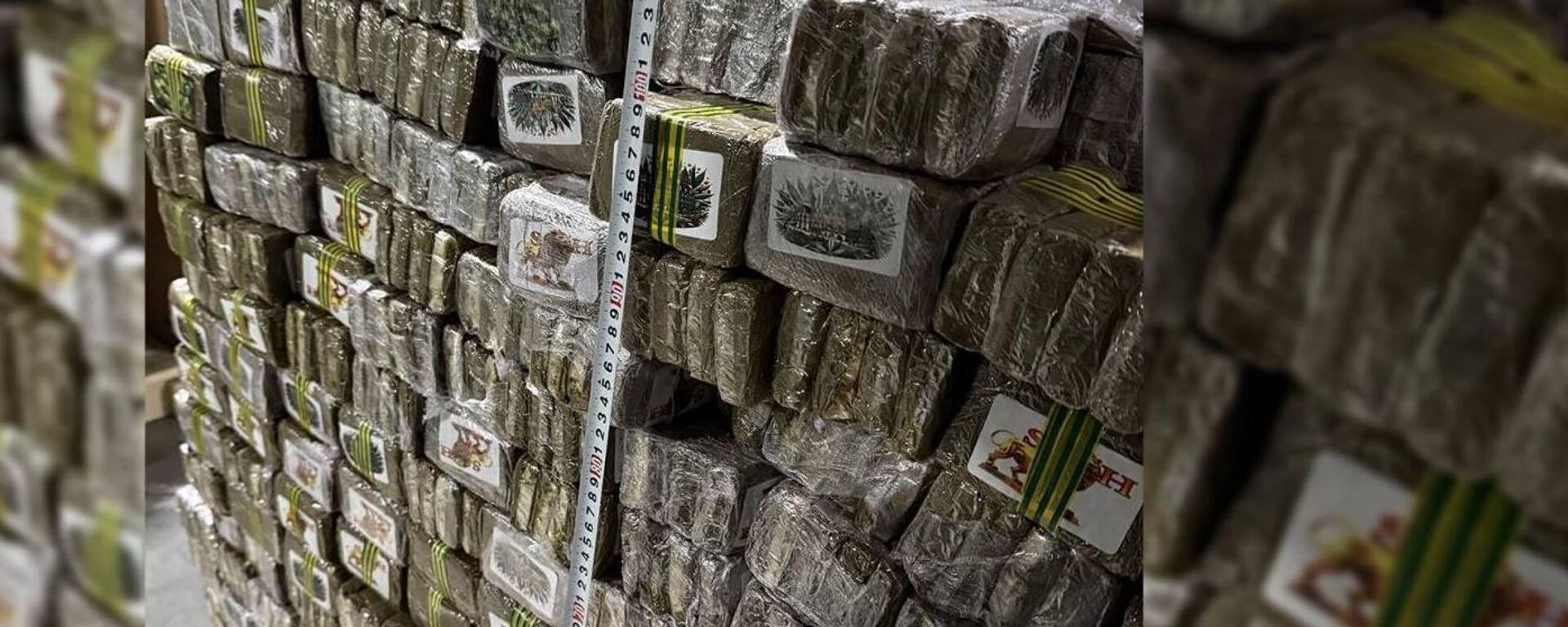 Задержание крупной партии наркотиков в Беларуси - Sputnik Беларусь, 1920, 12.12.2025