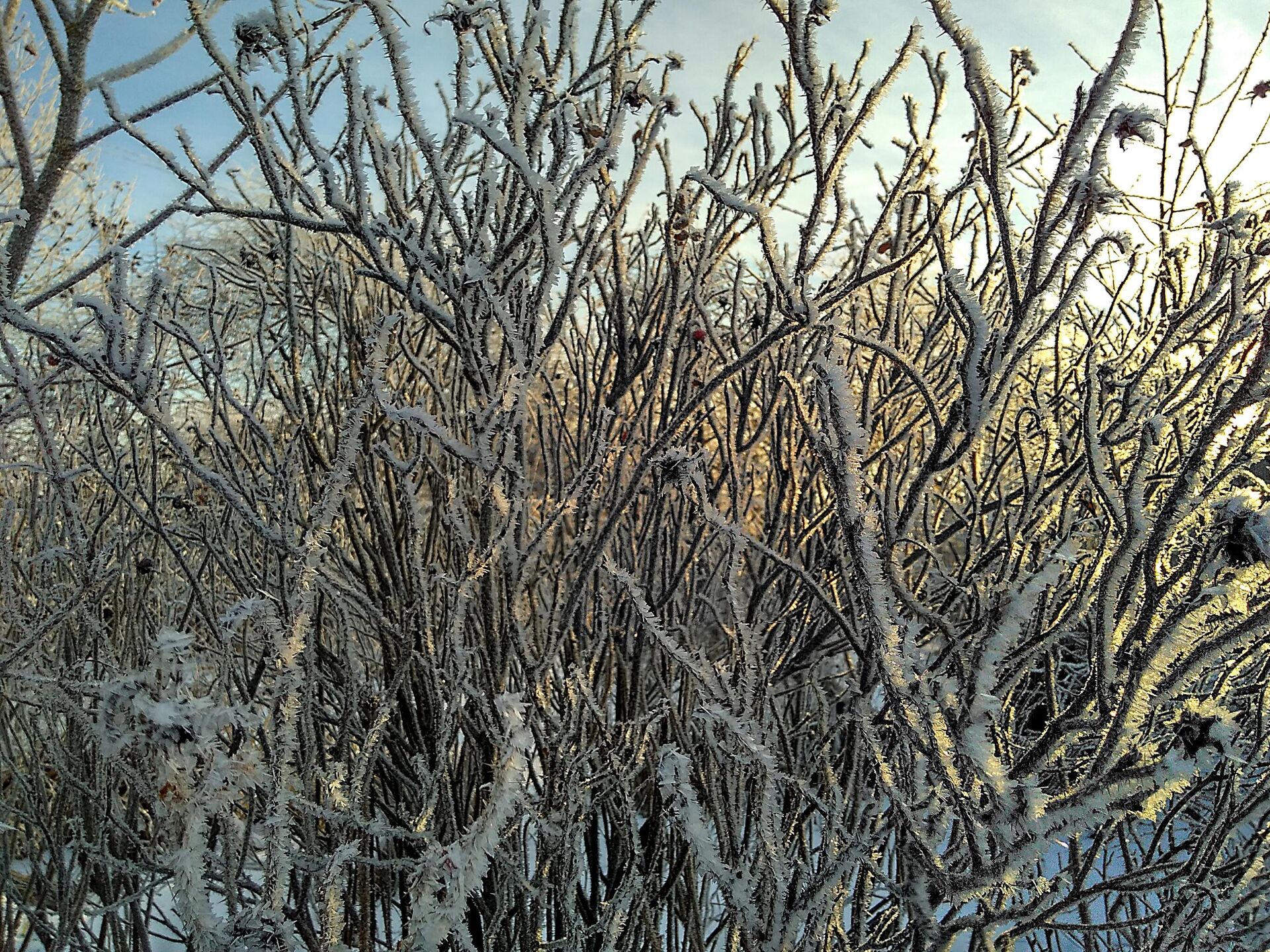 Надвор'е ў Піліпаўку Надвор'е ў Піліпаўку - Sputnik Беларусь, 1920, 12.12.2025